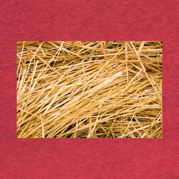 Dried yellow grass by textural